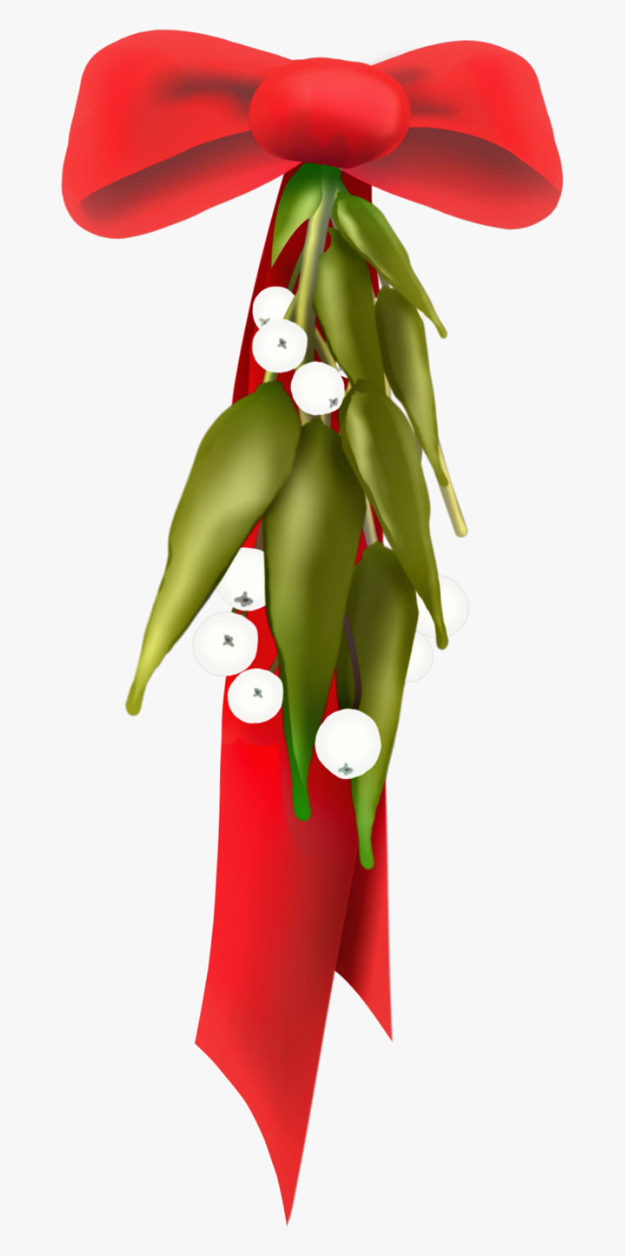 #scmistletoes #mistletoe #redribbon #bow #red #green - Coquelicot, Transparent Clipart
