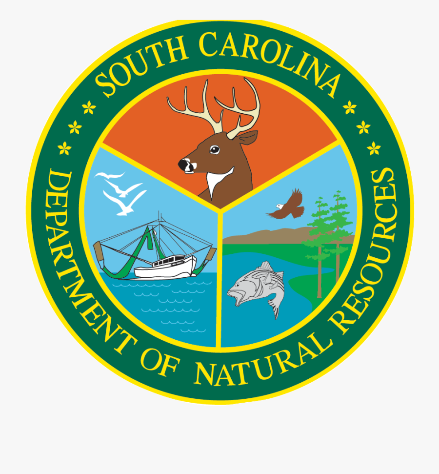 A Fine Kettle Of Fish South Carolina Natural Resources - South Carolina Department Of Natural Resources, Transparent Clipart