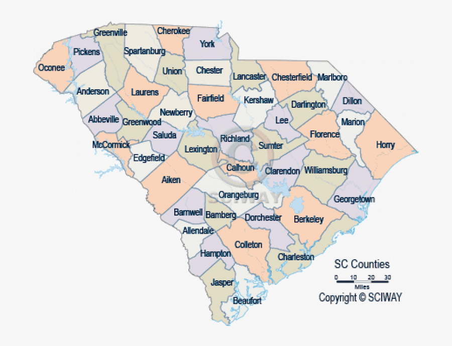 South Carolina Detailed County Maps On South Carolina - Map Of South Carolina, Transparent Clipart