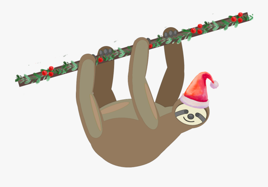 Sloth Clip Art Portable Network Graphics Drawing Cartoon - Sloth On Tree Cartoon, Transparent Clipart