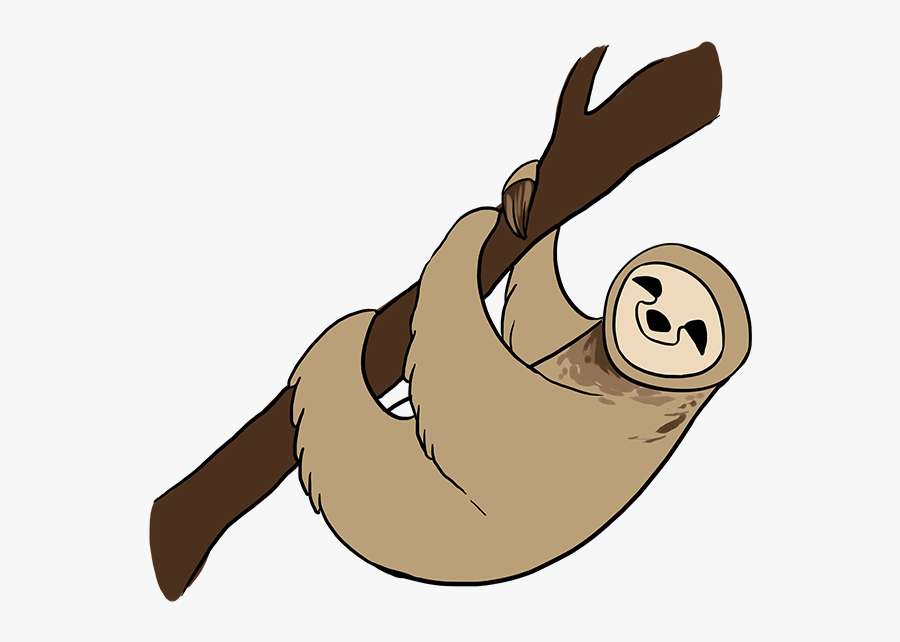 How To Draw Sloth - Draw A Sloth, Transparent Clipart