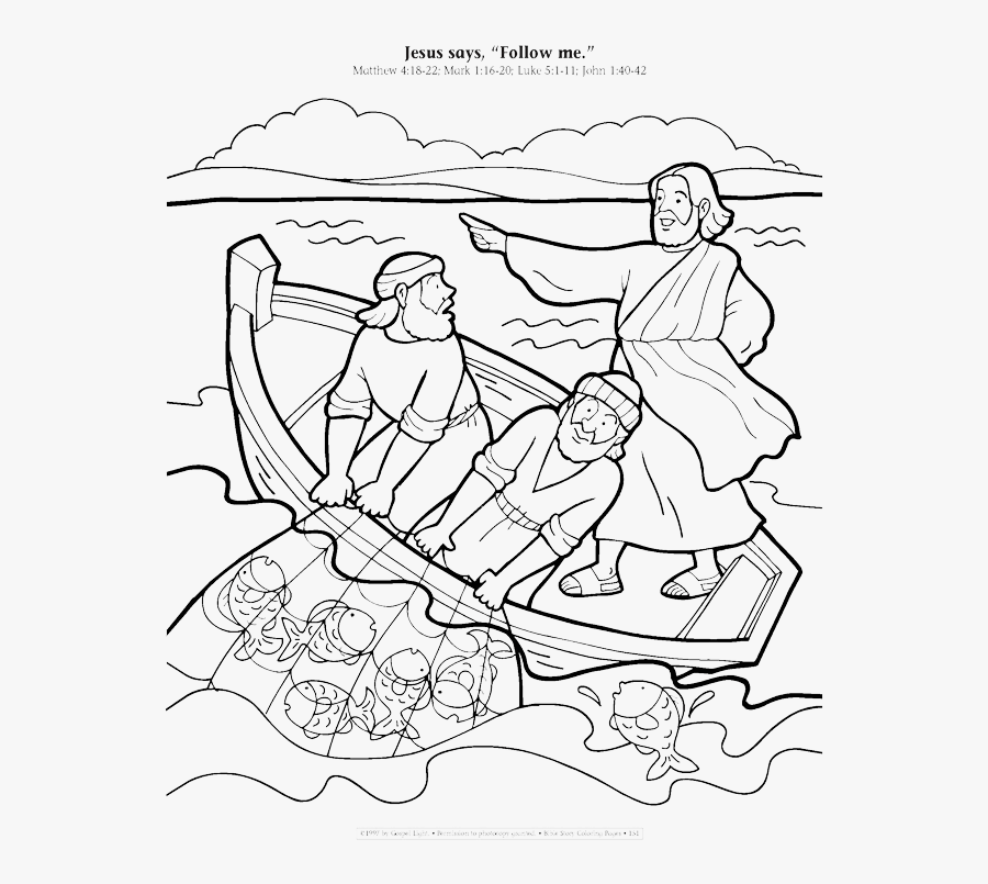 Line Art, Transparent Clipart