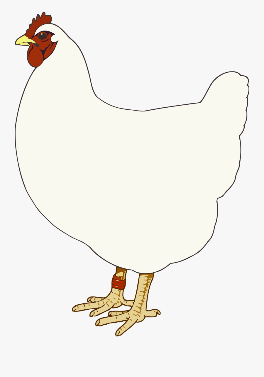 Poultry,livestock,fowl - Rooster, Transparent Clipart