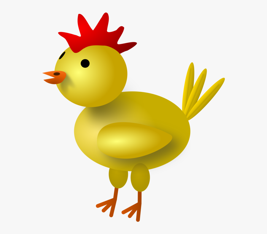Yellow-hair Chicken Kifaranga Poultry Poussin Rooster - Chicken Yellow, Transparent Clipart