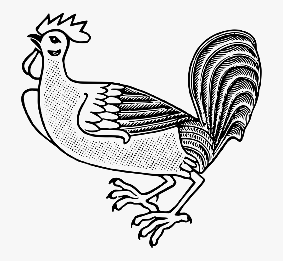 Art,fowl,beak - Cockerel Chicken Pixabay, Transparent Clipart