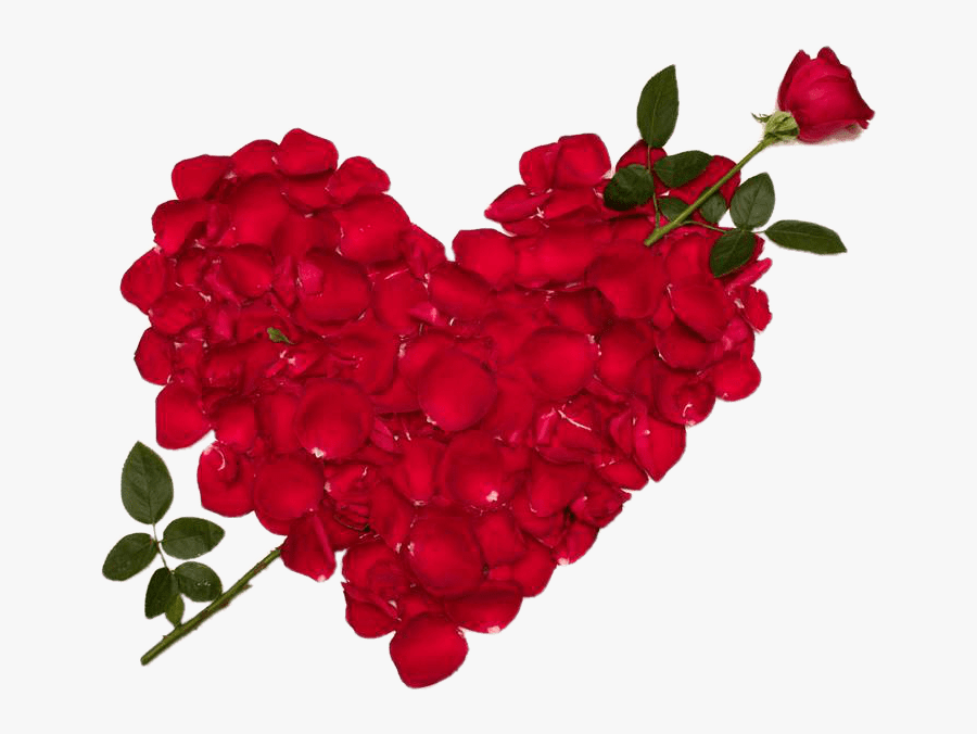 Transparent Rose Heart Clipart - Love Rose Flower, Transparent Clipart