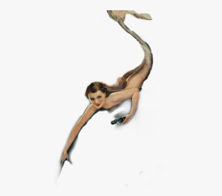 #vintage#mermaid - Spider Monkey, Transparent Clipart