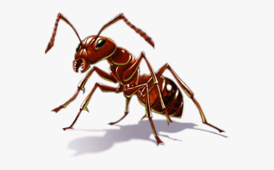 Pest Control, Transparent Clipart