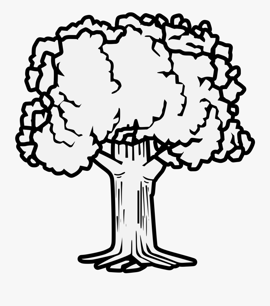 Transparent Brown Tree Without Leaves Clipart - Coat Of Arms Trees, Transparent Clipart