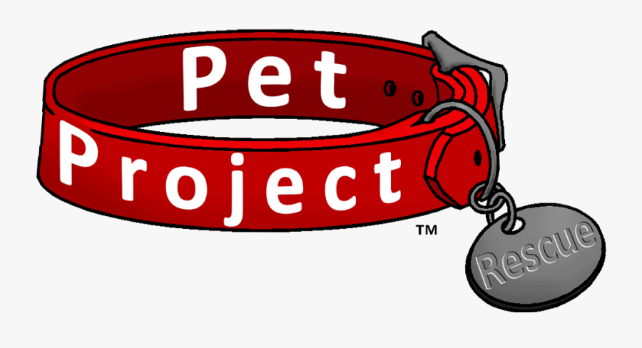 Metro Dogs Daycare Boarding, Doggie Daycare - Circle, Transparent Clipart