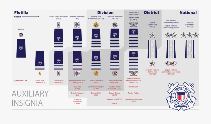 Cg Auxiliary Insignias - Coast Guard Auxiliary Ranks, Transparent Clipart