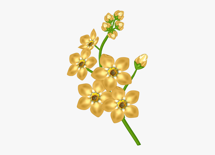 Flower Clip Art Transparent, Transparent Clipart