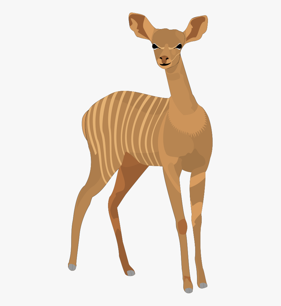 Animal 13 Picture Svg Clip Arts - Barking Deer Png, Transparent Clipart