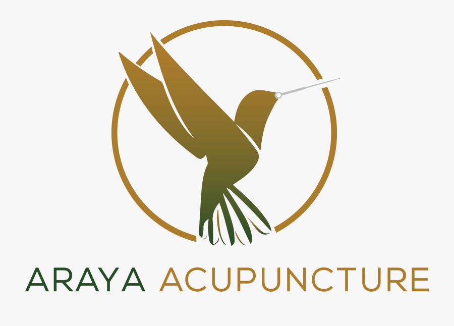 Qi Gong And Tai Chi - Emblem, Transparent Clipart