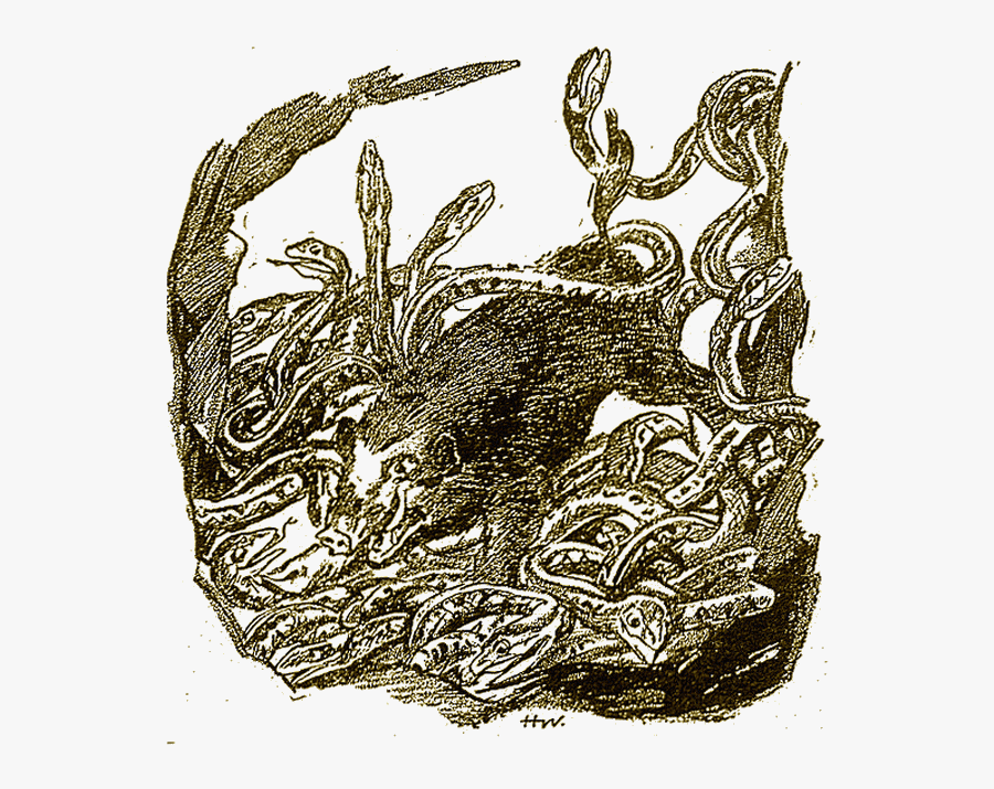 Illustration"
 Title="illustration - Illustration, Transparent Clipart