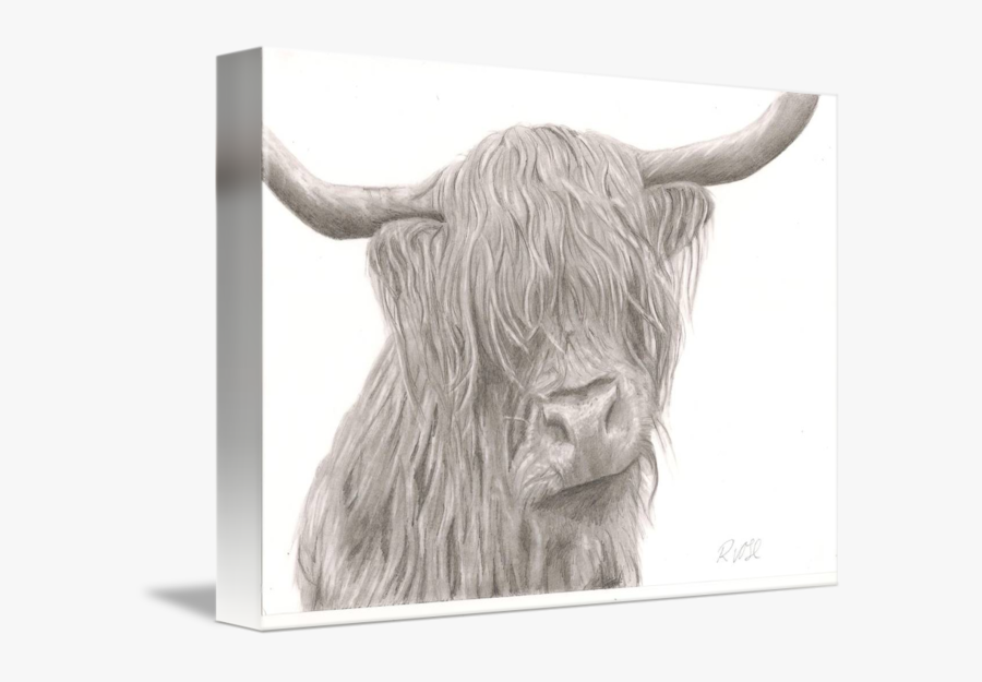 Highland Cow By Rebecca Vose - Bull, Transparent Clipart