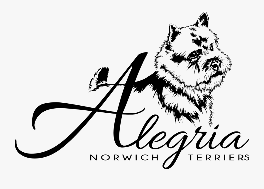 Alegria Terriers - Illustration, Transparent Clipart