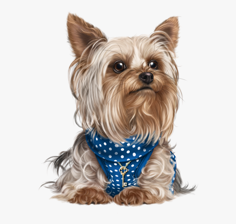 Head Clipart Yorkie - Transparent Yorkshire Terrier Png, Transparent Clipart
