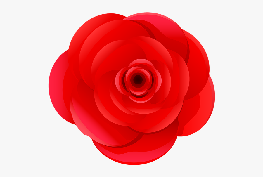 Japanese Camellia, Transparent Clipart