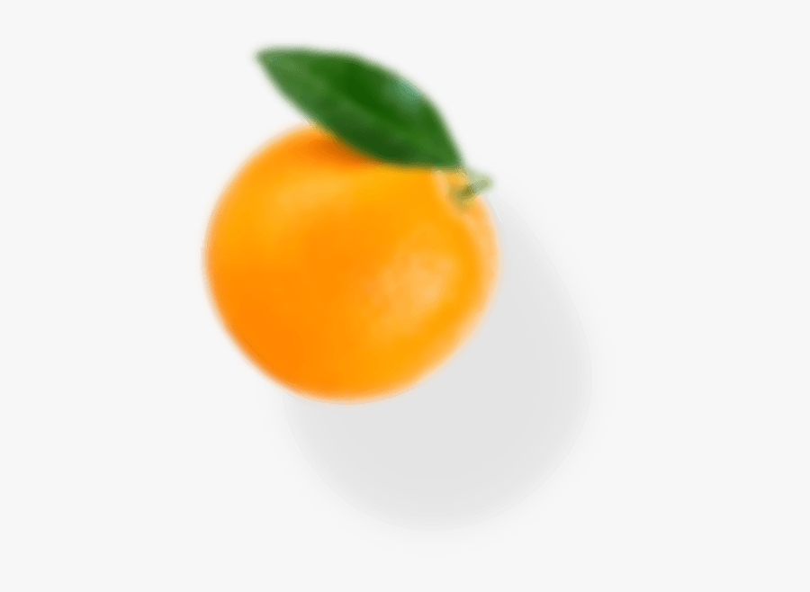 Bitter Orange, Transparent Clipart