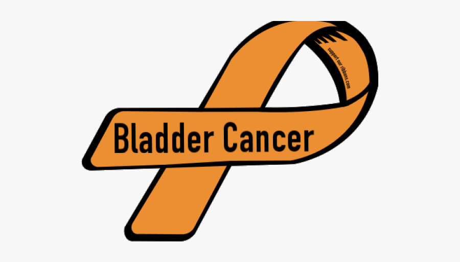 Bladder Cliparts, Transparent Clipart