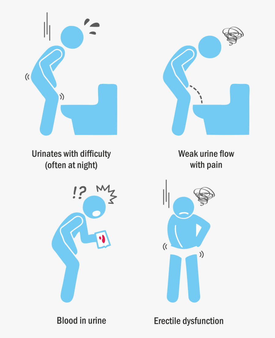 Bladder Cancer Signs, Transparent Clipart