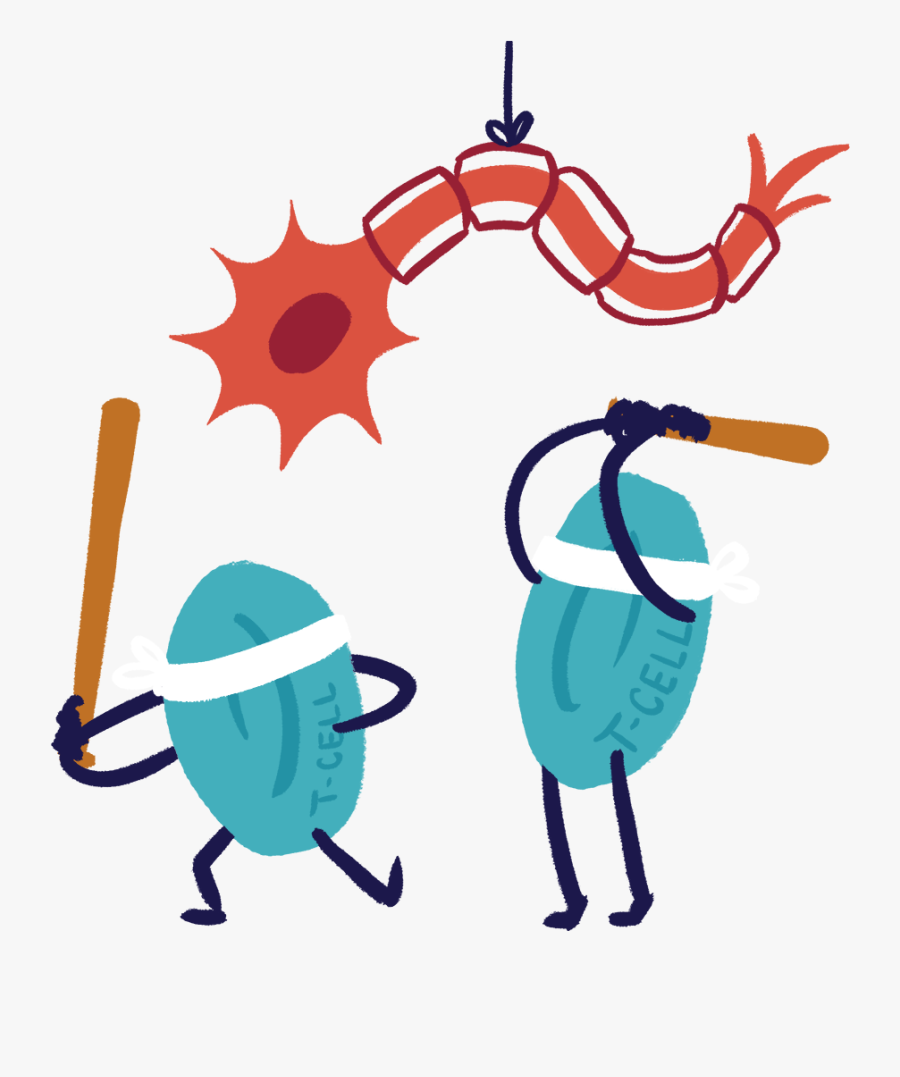 Immunosuppression, Transparent Clipart