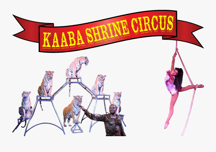 Kaaba Shriners For The - Cartoon, Transparent Clipart