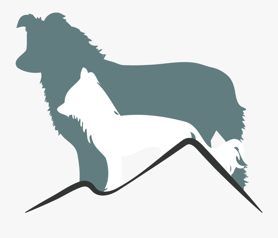 Birkengasse Chinese Crested Dog Border Collie Meine - Illustration, Transparent Clipart