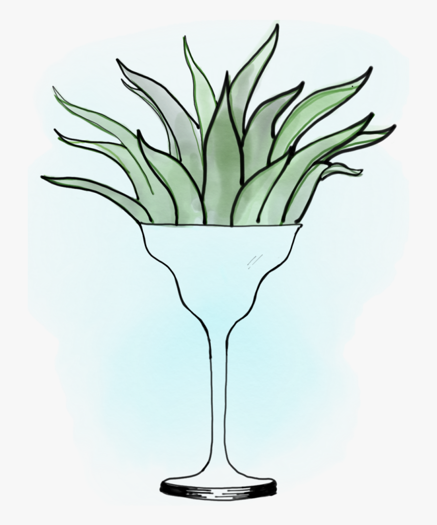 Transparent Agave Plant Png - Wine Glass, Transparent Clipart