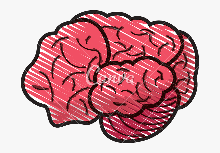 Transparent Brain Outline Clipart, Transparent Clipart