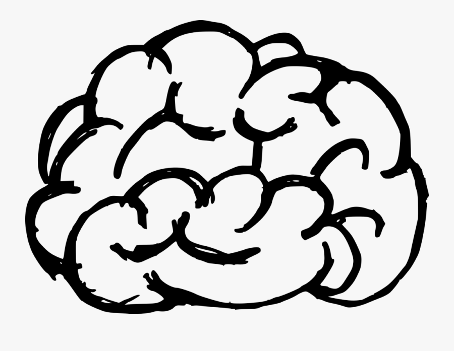 White Drawing Brain - Brain Drawing Transparent Background, Transparent Clipart