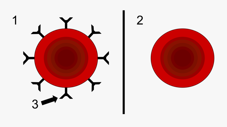 Bond Of Reinforced Concrete, Transparent Clipart