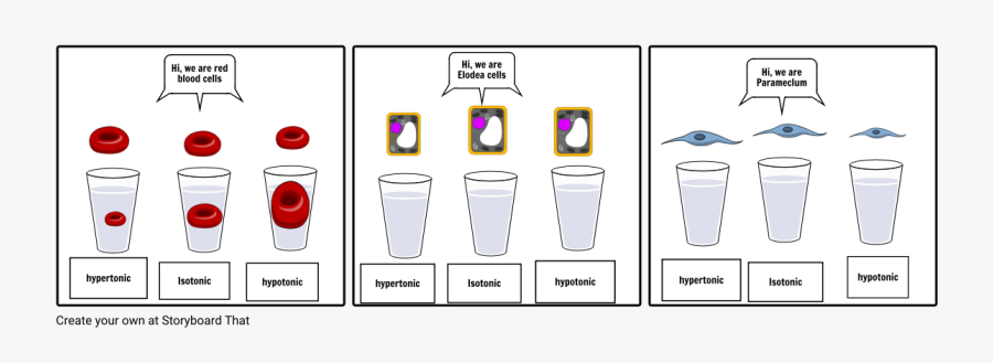 Clip Art, Transparent Clipart