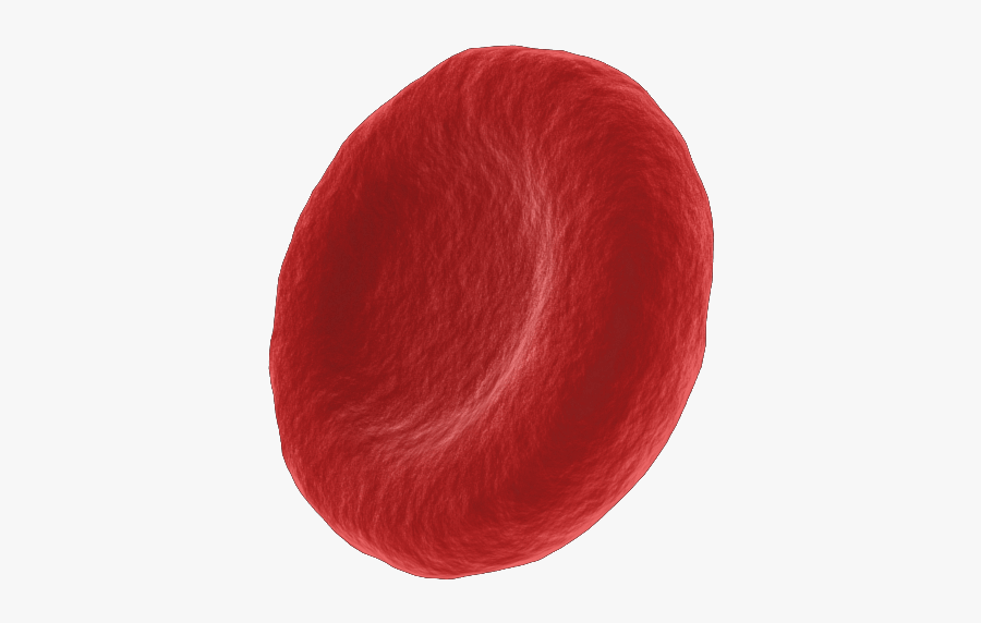 Blood Cells Png - Red Cell, Transparent Clipart