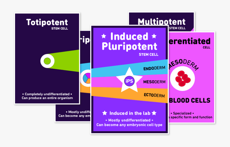 Array Of Card Faces From The Deck - Graphic Design, Transparent Clipart