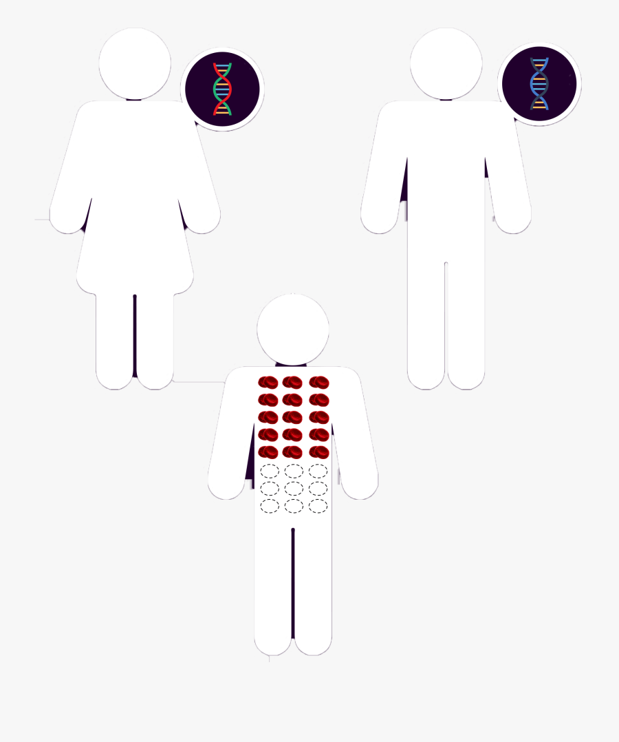 Hembrismo , Free Transparent Clipart - ClipartKey