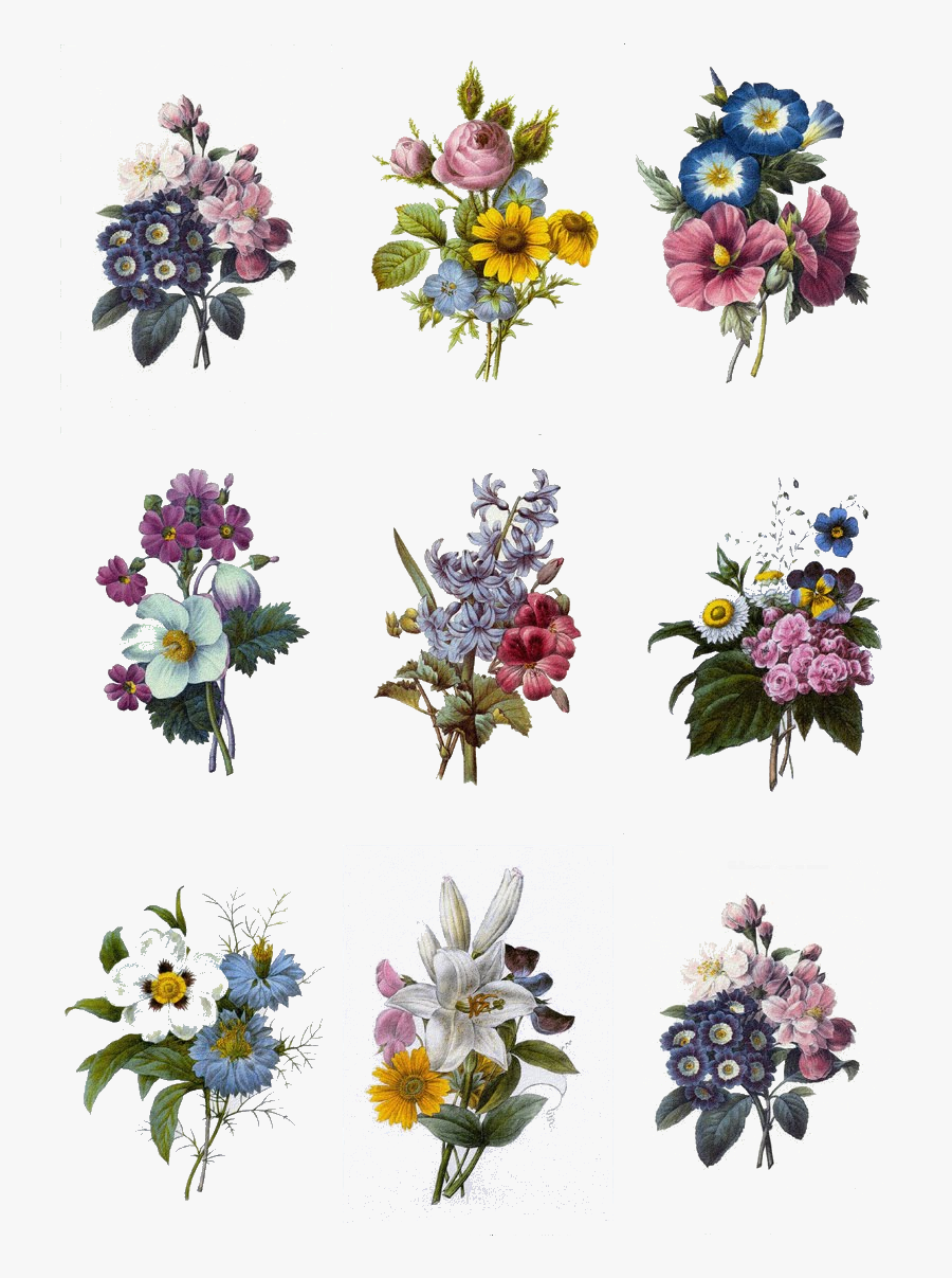 Clip Art Dekupa Pinterest Tattoos - Carnation And Gladiolus Flower Tattoo, Transparent Clipart