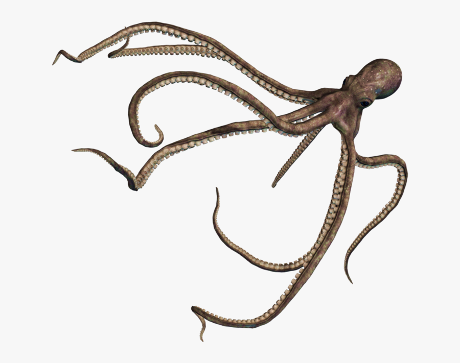 Transparent Octopus Clipart - Pieuvre Png, Transparent Clipart