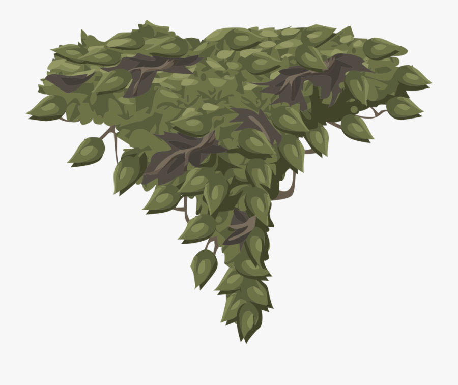 Plant,leaf,military Camouflage - Foliage Transparent, Transparent Clipart