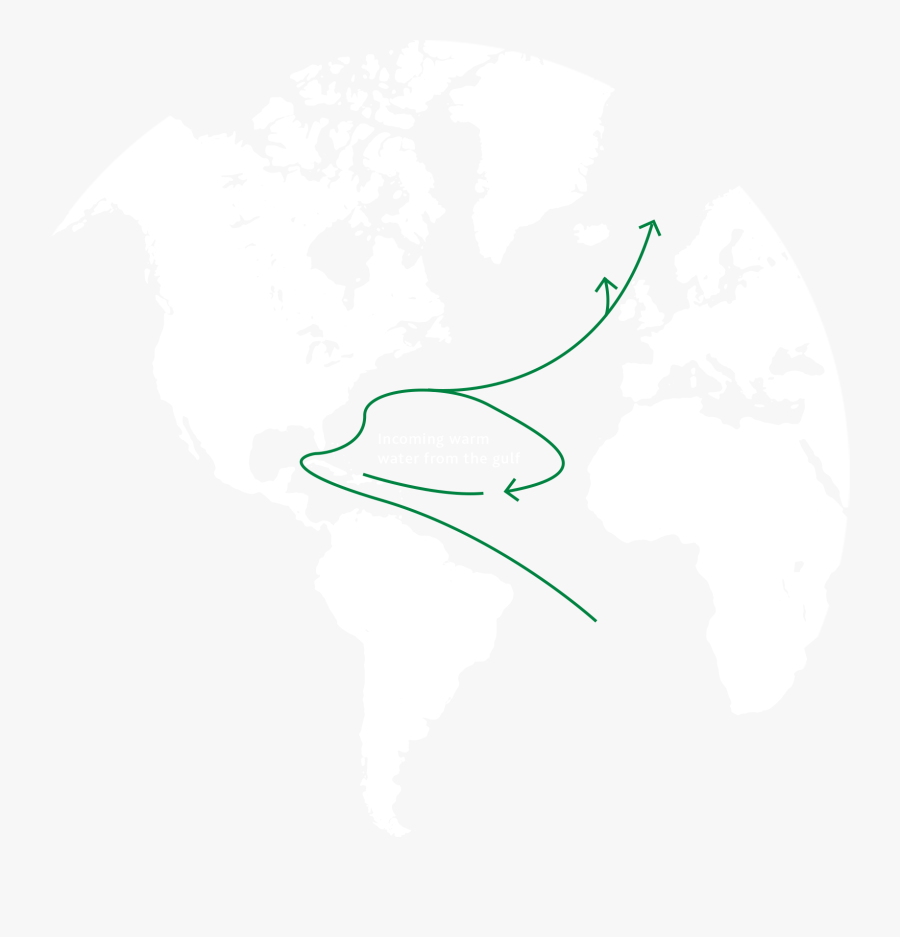 World Map Green And Gold, Transparent Clipart