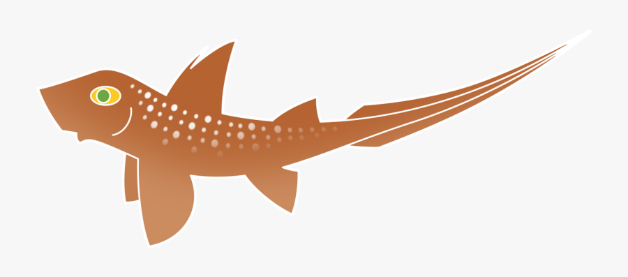 Shark, Transparent Clipart