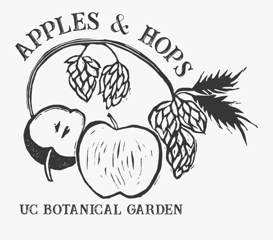 Clip Art Hops Drawing - Cartoon, Transparent Clipart