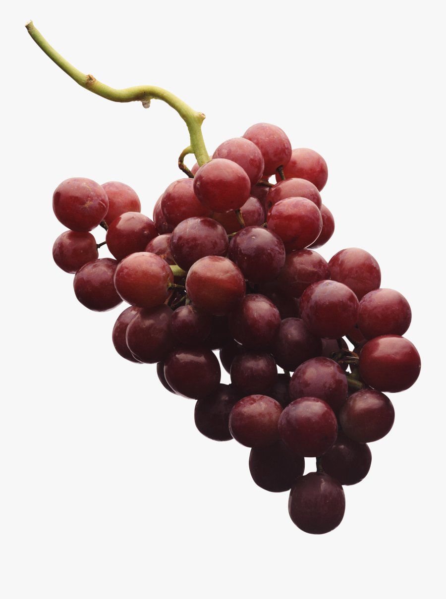 Grapes Clipart Angur - Png Grape Vine Red Grape, Transparent Clipart