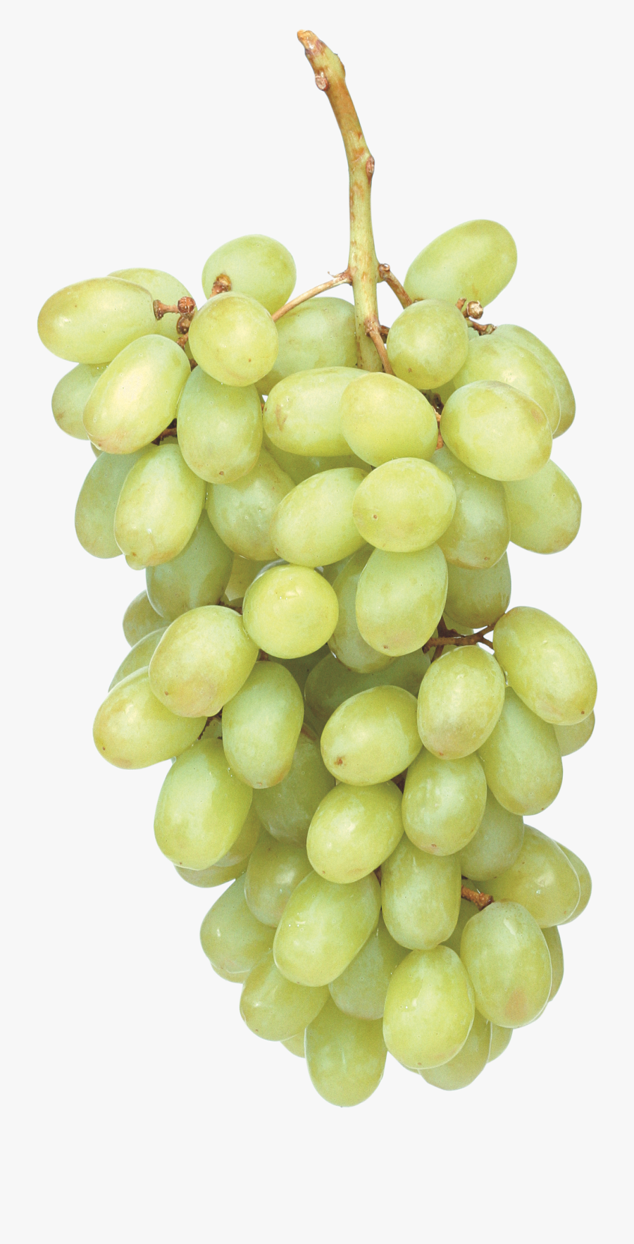 Transparent Green Grapes Clipart - Grape, Transparent Clipart