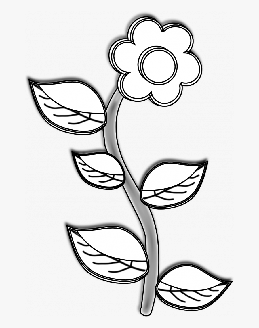 Medium Size Of Line Drawing Animals Clipart Camera - Plant In Black And White, Transparent Clipart