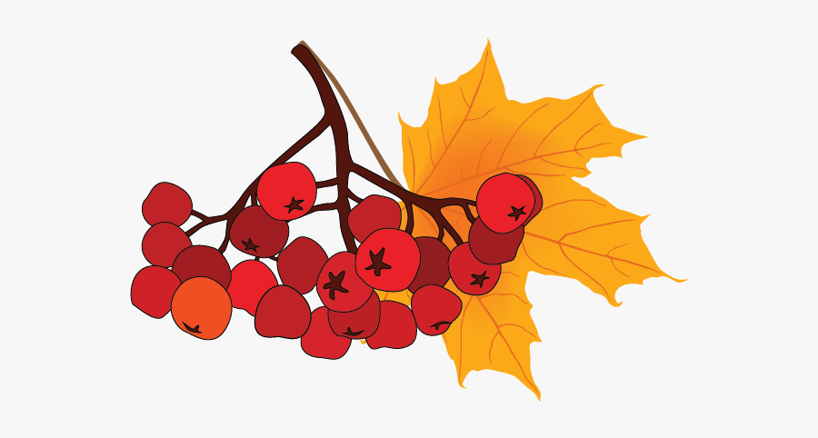 Autumn Leaves And Fruit, Transparent Clipart