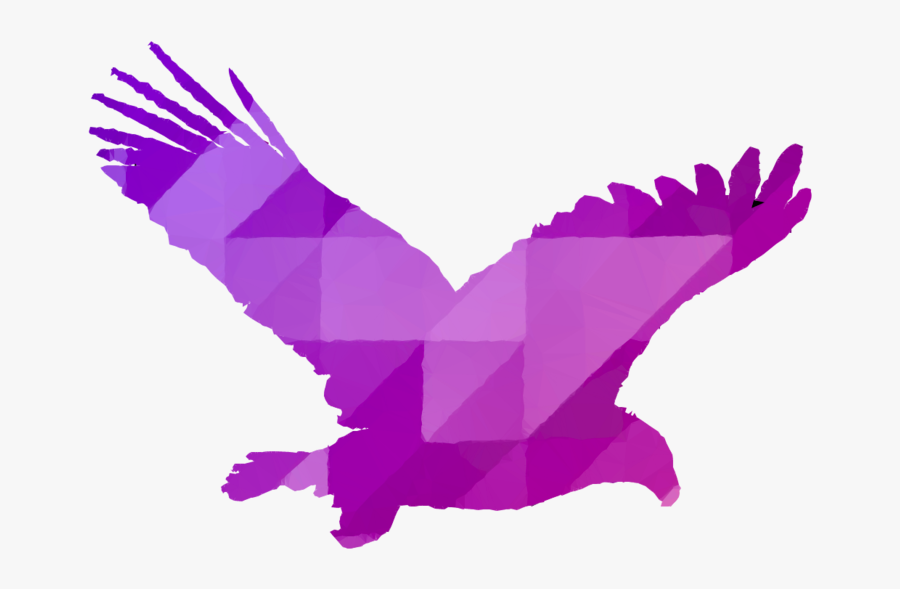 Kontur Ptaka Png, Transparent Clipart