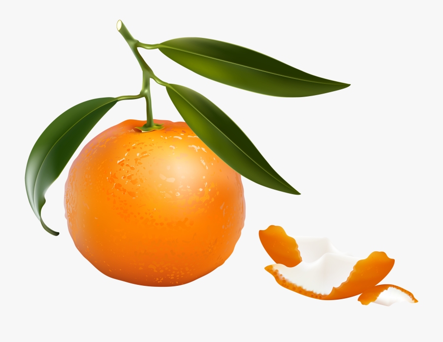 Фотки Fruits And Vegetables, Digi Stamps, Carrots, - Orange Fruits Clip Art, Transparent Clipart