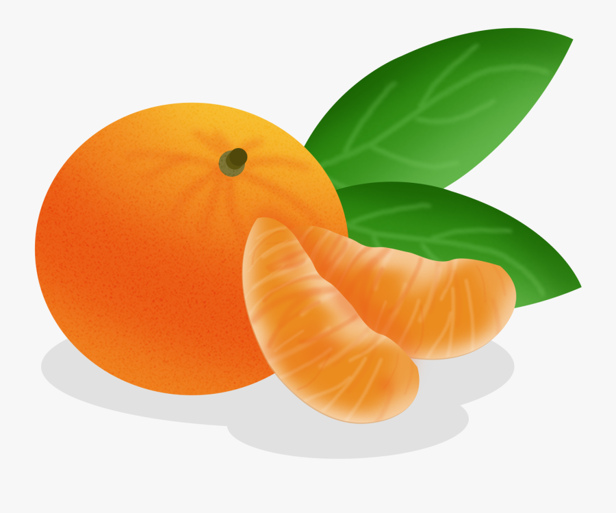 Cartoon Hand Drawn Fruit Food Png And Psd - Cartoon Tangerine Png, Transparent Clipart
